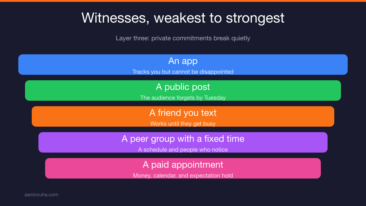Ranked witness types from weakest to strongest for habit accountability